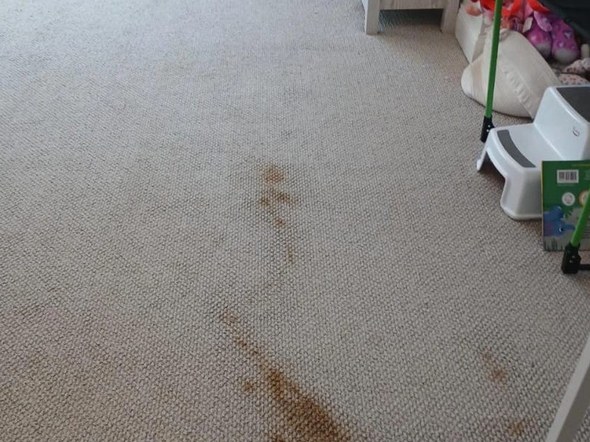 Beige playroom carpet with a trail of brown stains before Vix cleaned it