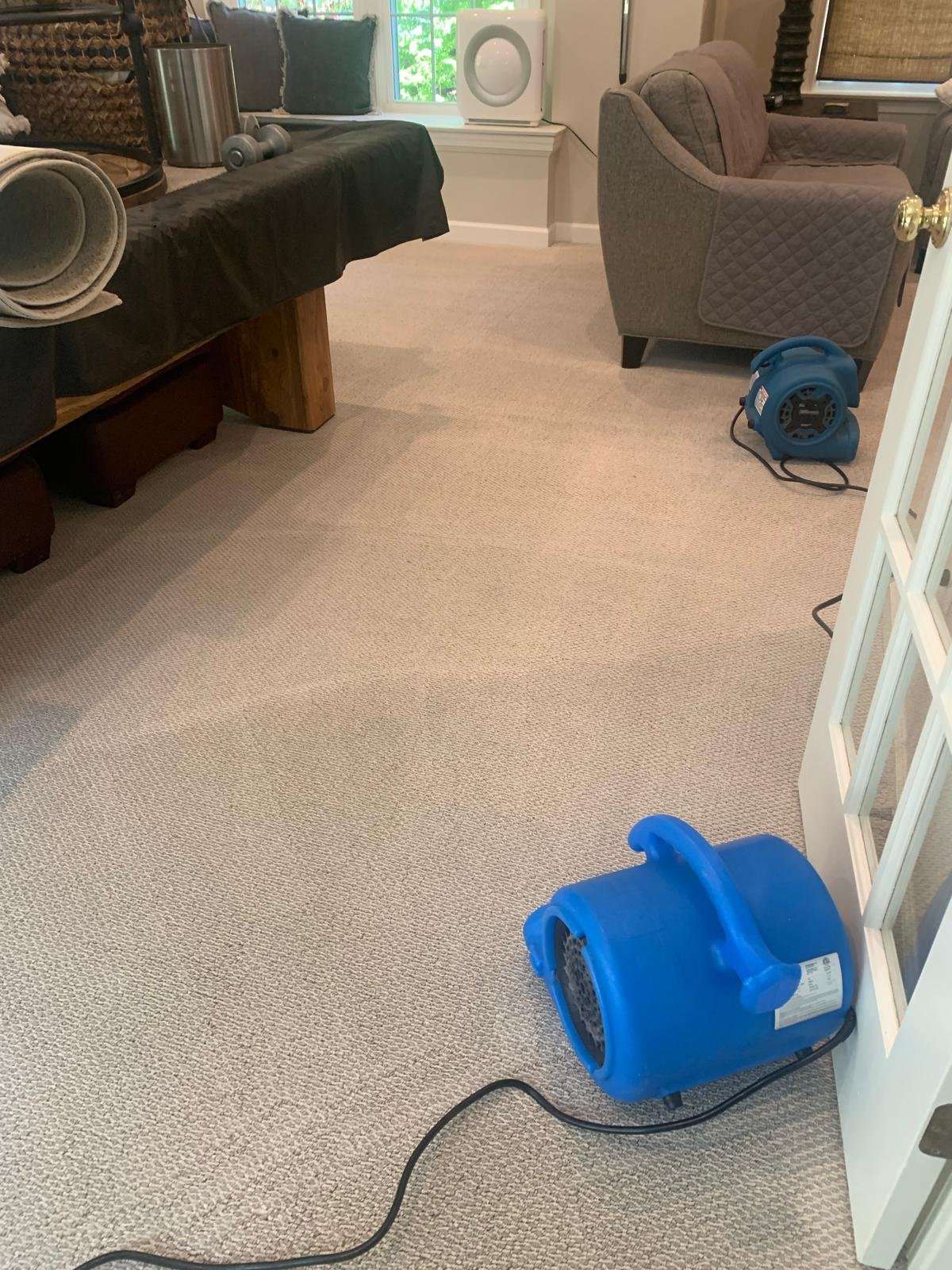 Air movers and a dehumidifier drying a bedroom carpet after cleaning