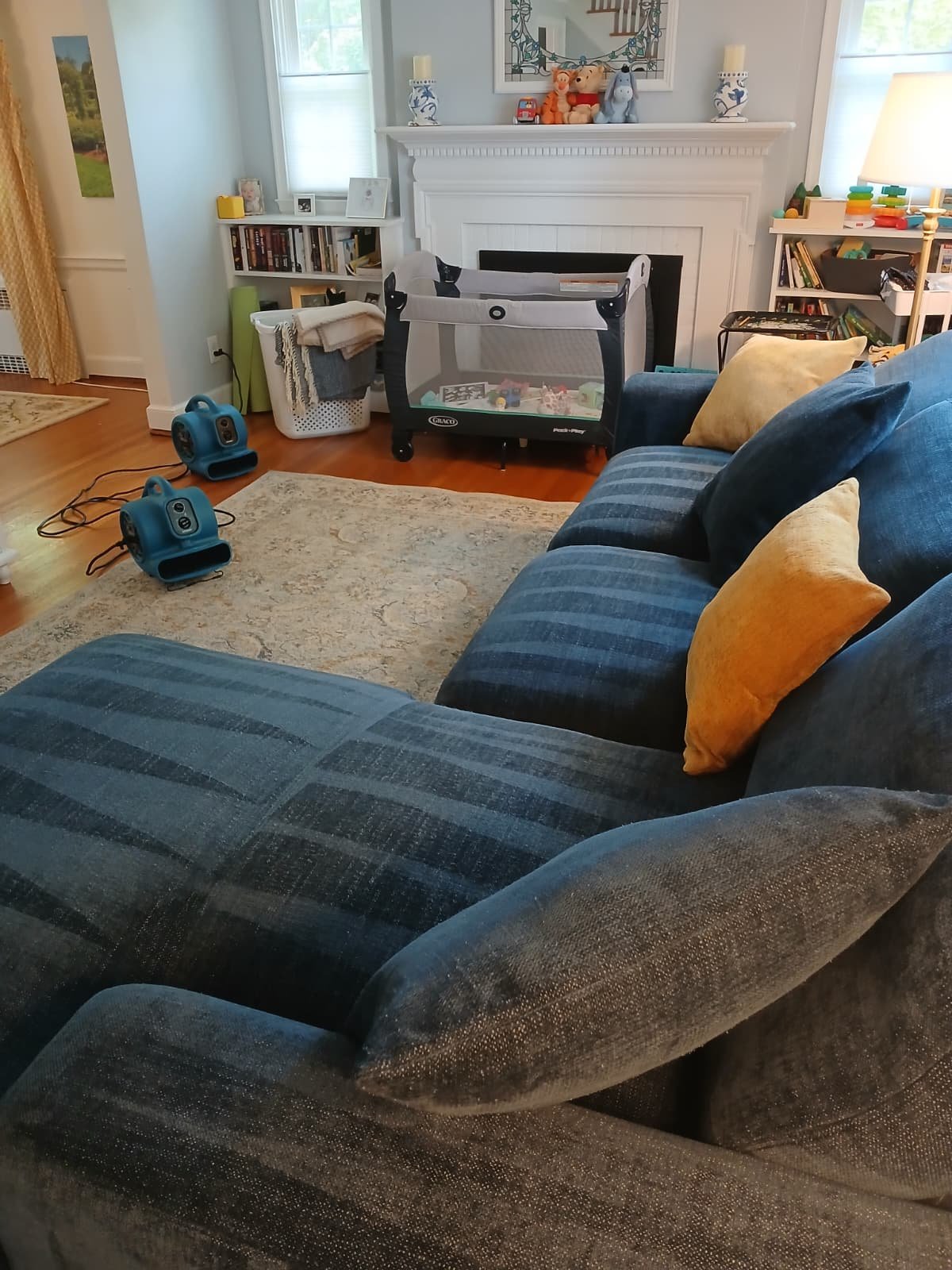 Blue sectional sofa and area rug drying under air movers after cleaning