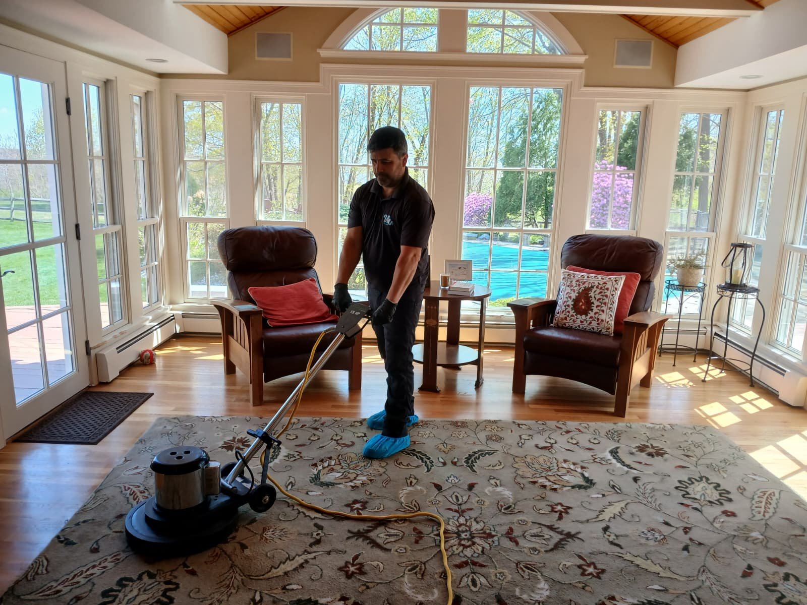 Alex rotary-cleaning an area rug in a sunlit living room
