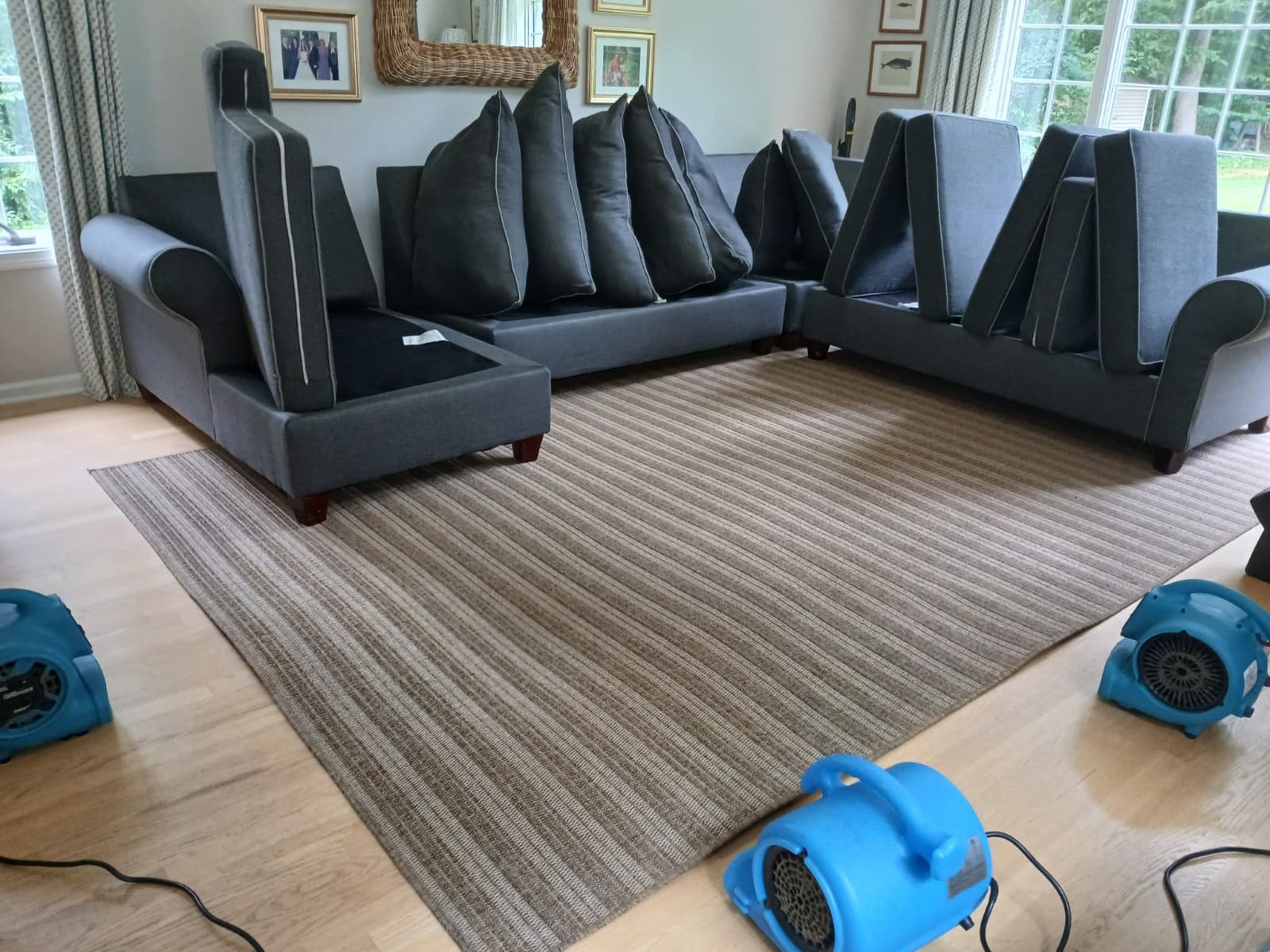 Grey sectional sofa cushions propped upright to dry after cleaning, with a striped area rug