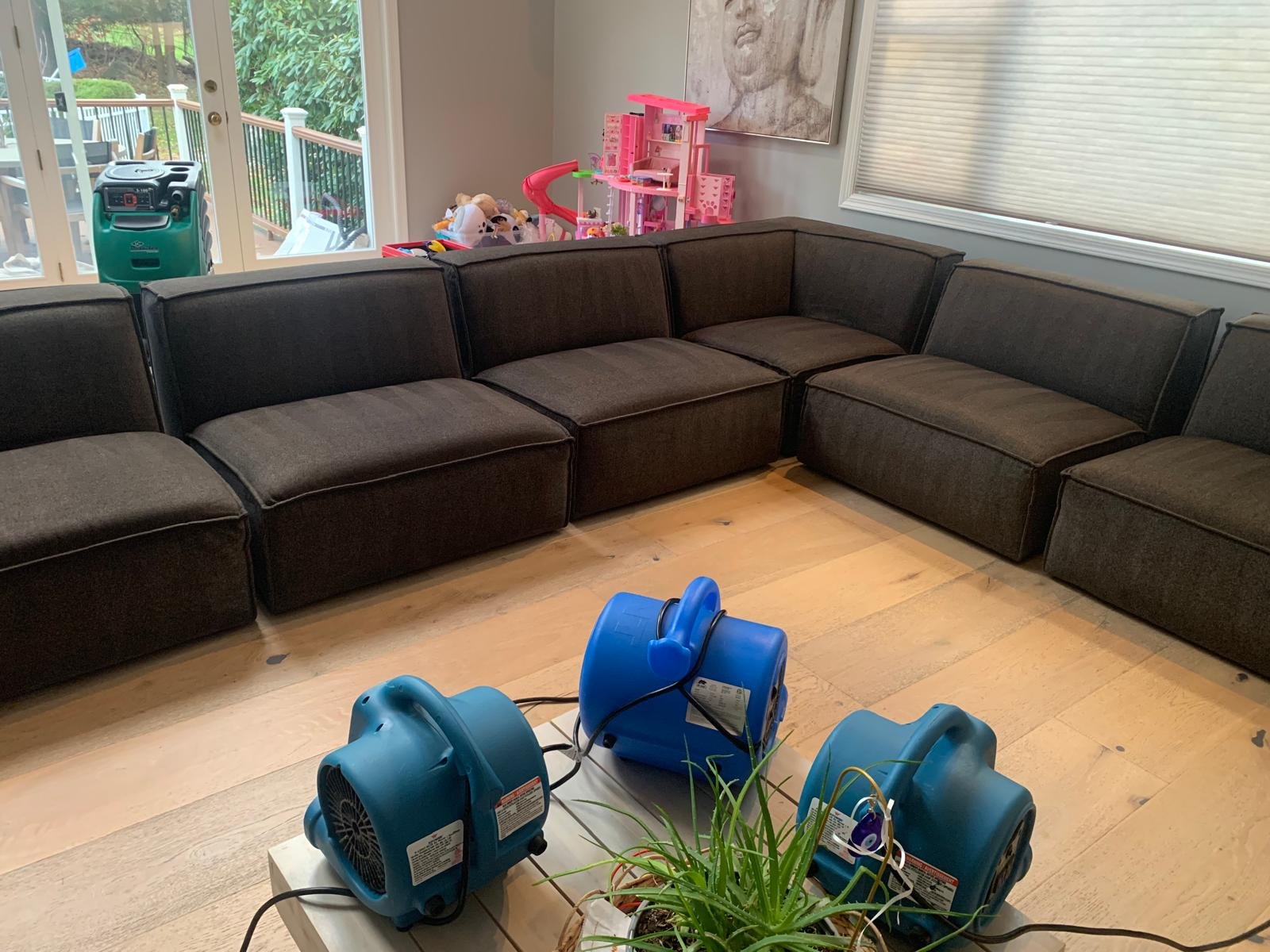 Dark modular sectional sofa drying under air movers after upholstery cleaning