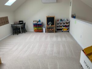 Carpet Cleaning services