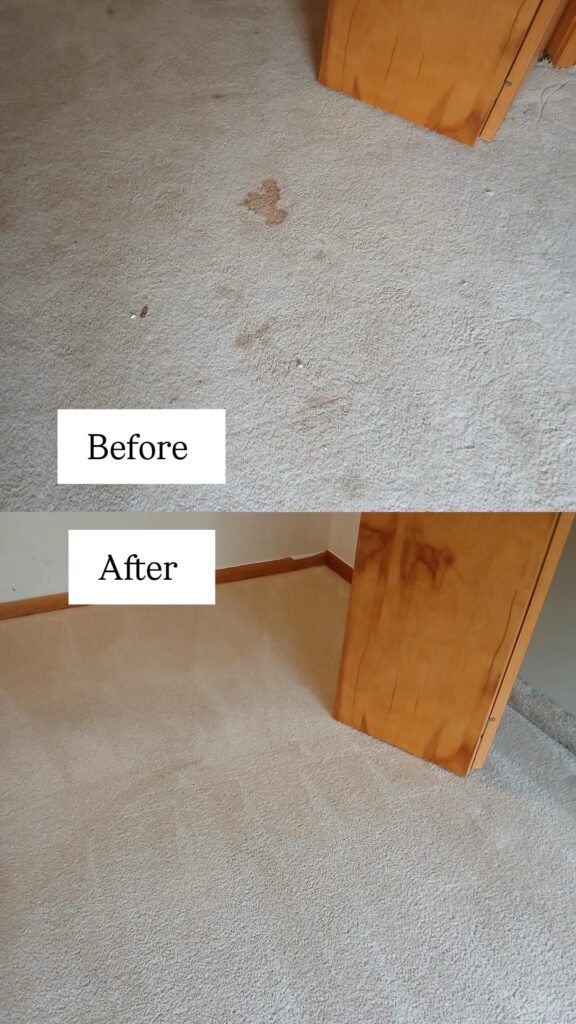 Carpet Cleaning