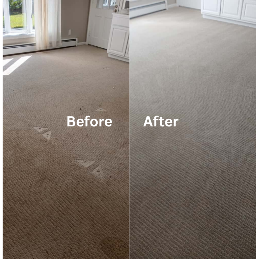 Carpet Cleaning