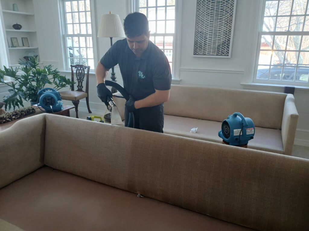 Sofa Cleaning